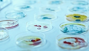 Обзор специальности: микробиолог