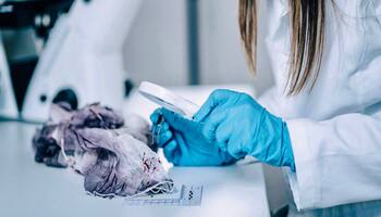 Обзор специальности: судмедэксперт